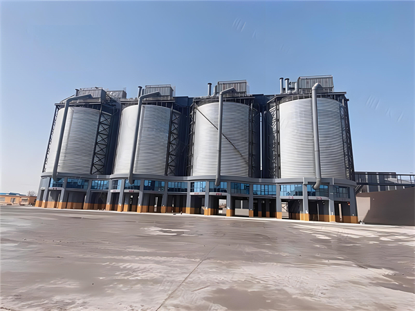 儋州大型钢板仓建造施工造价分析与优化策略